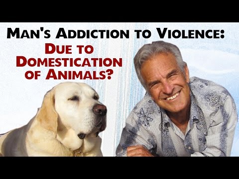 Domesticating Animals Made Humans Violent? Jeff Masson