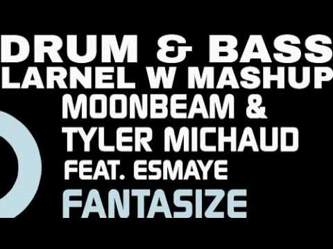 Tyler Michaud & Moonbeam feat. Esmaye - Fantasize (LARNEL W DRUM & BASS MASHUP)