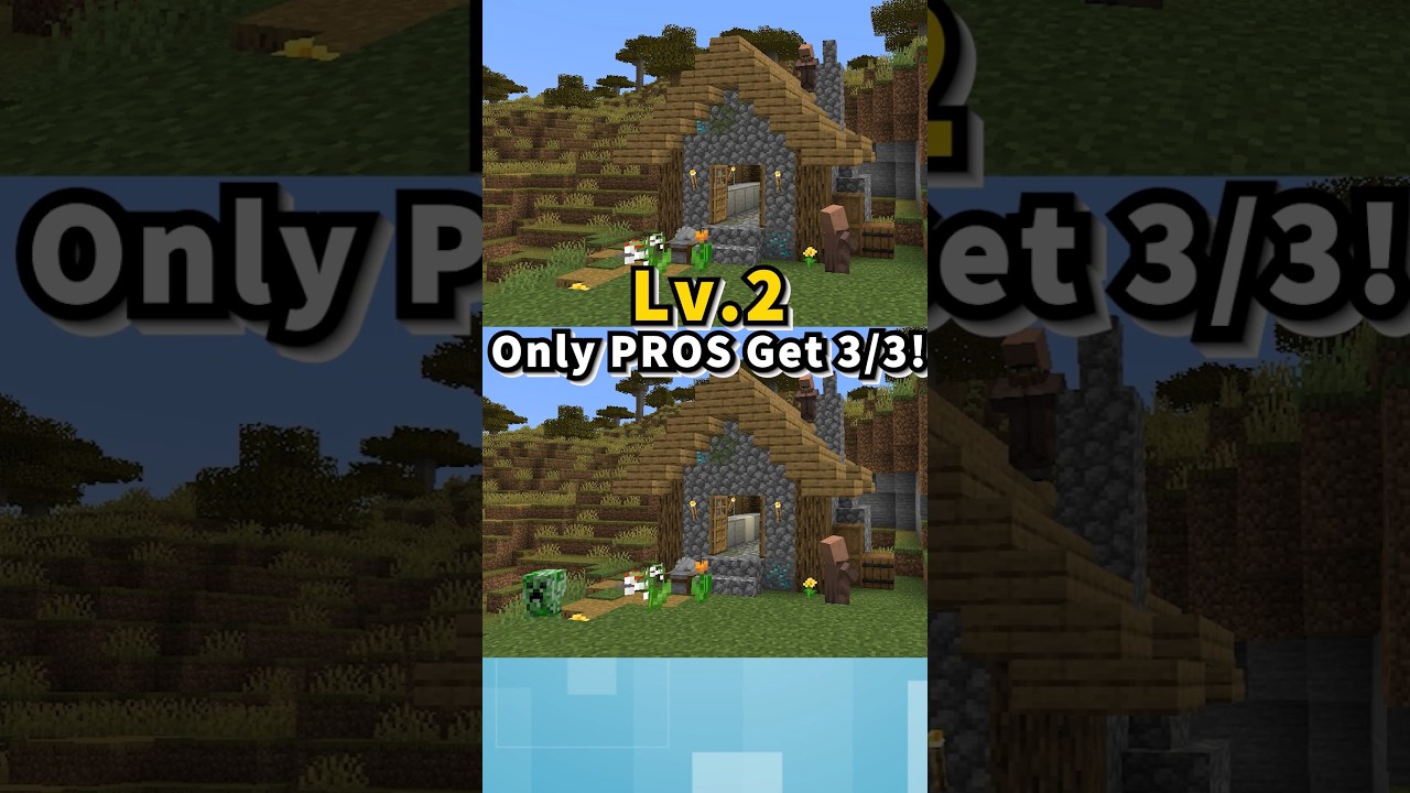 【Lv２】Spot 3 Differences! 🔍 マイクラ間違い探し #Shorts #Minecraft #マイクラ