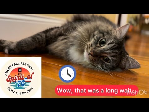 2025 Amery Fall Festival - the WAIT IS OVER!