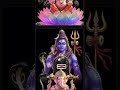 लाडले गणेश प्यारे प्यारे Ganesh Gajanan Shortsfeed Bhajan 