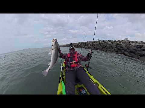 🎣 ¿Vale la Pena Pescar en Paitilla? Mira lo que Sacamos