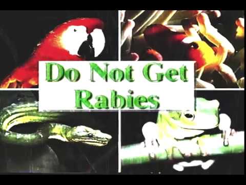 C.C.T.V. —  No Simbiosis