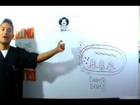 Antibióticos Generalidades Clasificación Fácil Con Mnemotecnias 3RA PARTE