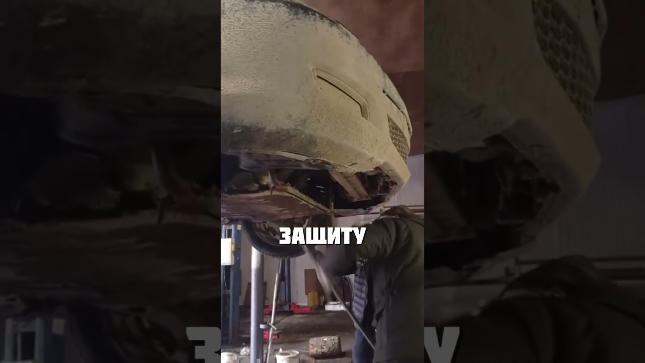 ПРИРОДНАЯ ЗАЩИТА ДВИГАТЕЛЯ