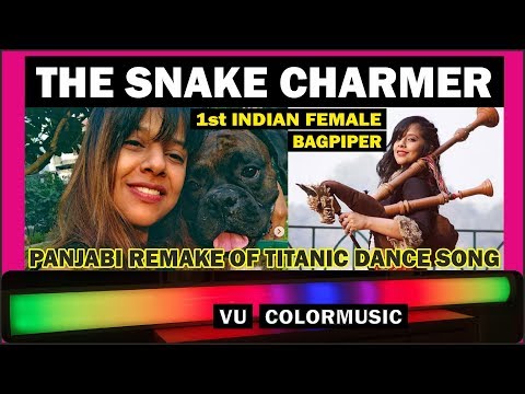 The Snake Charmer - Punjabi Remake of Titanic Dance Song / VU ColorMusic / VU Meter / Lichtorgel