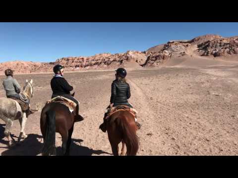 Horseback Riding in the Atacama Desert