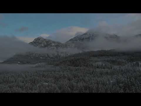 Grandmother song - sheffy oren bach