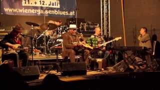 Wienergassenblues 2014 - Big Daddy Wilson - Hard Days Work