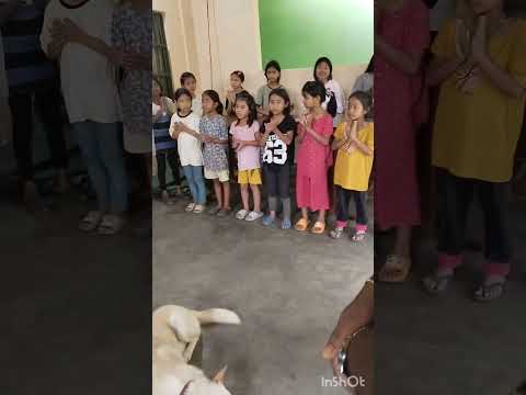 My first experience in orphanage#dimapur #orphan #youyubeshort #viral