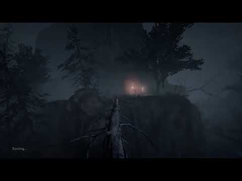 Outlast 2 Part 8 (The lake)
