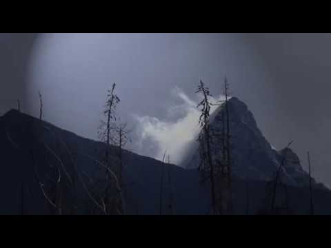 Darrell Standing - reincarnation - Kamil & friends - Cizinec