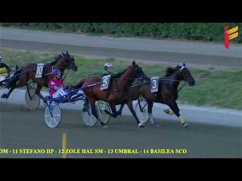 VI Corsa del 18 Giugno 2022 - 4 Anni - Metri 2000/2020