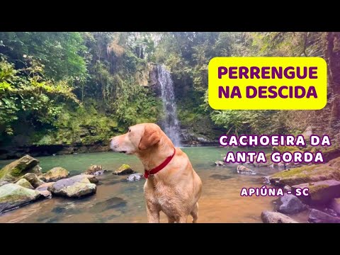 Cachoeira da Anta Gorda, Apiúna, Santa Catarina - Trilha com Cachoeira