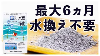 アクアリウムの新常識!? 水槽の水換えが必要なくなる魔法のアイテム『水槽浄化パック』を紹介!!アクアリウム初心者でも安心で水槽の立ち上げも早くなる活性炭とは異なる次世代の水質浄化材・吸着材