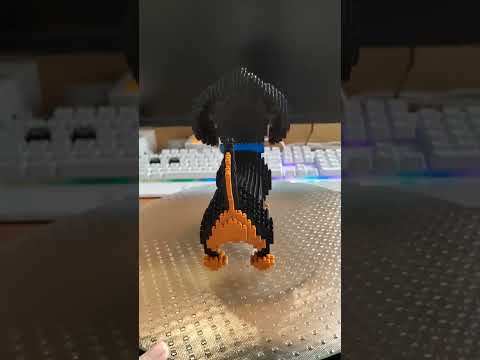 Пёсель собрался #конструктор #balody