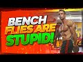 Bench flies are Stupid!