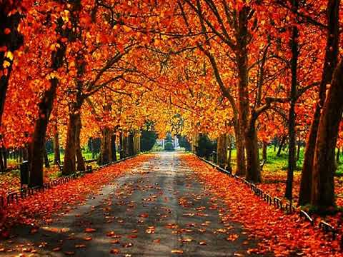 Debaixo da Promessa- Daniel e Samuel (LEGENDADO)