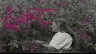 La Nieve De Los Años Lyrics English Translation