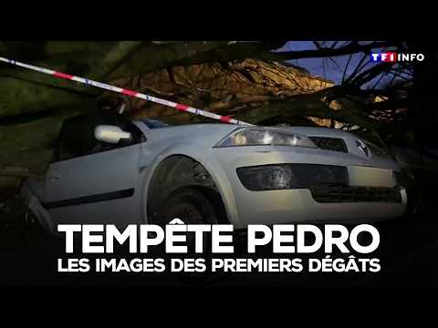 Tempête Pedro : les images des premiers dégâts｜TF1 INFO