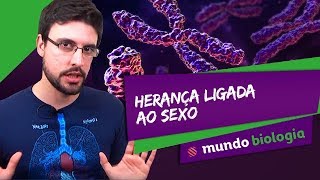 🧬 Genética (6/8): Herança ligada ao sexo - Biologia - ENEM