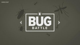 Bug Battle: Getting Bugs Out of Your Home