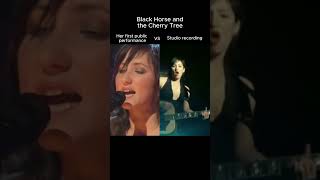 KT Tunstall blew up after this performance!