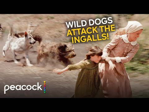 Little House on the Prairie | Mary Ingalls Protects the Kids From a Wild Pack of Dogs