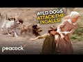 Little House On The Prairie Mary Ingalls Protects The Kids From A Wild Pack Of Dogs
