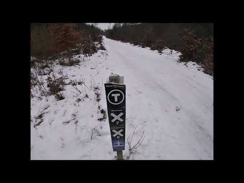 Wandern in Lippe: #13 | Langenberg über Krüppelige Buchen | SCHNEE-WANDERUNG