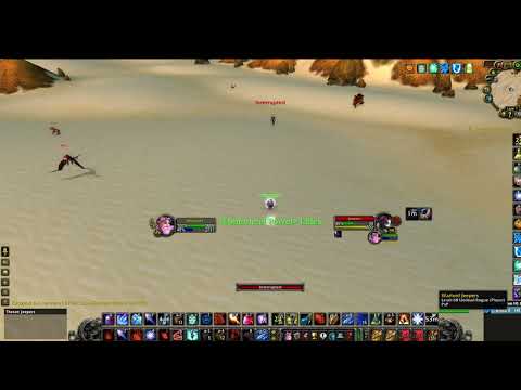 Why free rank 14 gear Ruined Wow Classic PVP (POV)