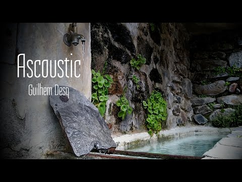 Ascoustic - Guilhem Desq - Hurdy Gurdy