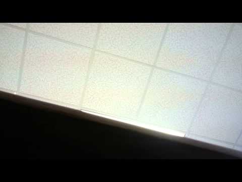 P-town Public Defenders Snitch on P-town Circuit J