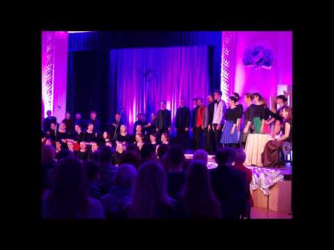 RTU jaukais koris VIVERE - Fever