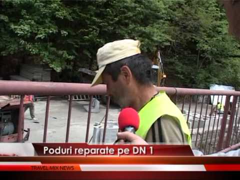 PODURI REPARATE PE DN1