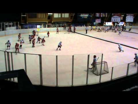 Hokej U10, Šišić 2015, Crvena Zvezda - Beostar 5:0