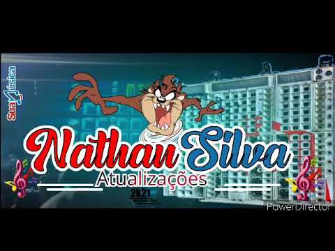 DUDU ROSA - CARBURANDO 2K21 MUSICA NOVA