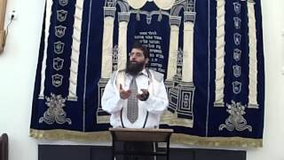 הרב אופיר טנג'י - לא להפסיק להתפלל