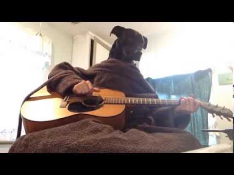 Happy Birthday Jamie!