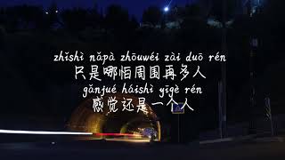 【给我一个理由忘记-A-Lin】GEI WO YI GE LI YOU WANG JI /TIKTOK,抖音,틱톡/병음가사,拼音歌词, pinyin lyrics/광고 없음, No AD,无广告