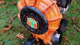 What should I BUY to get rid of leaves? Rake, Backpack Blowe