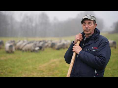 U KANADI SMO ŽENA I JA VOZILI KAMIONE U BOSNI SAD ČUVAM OVCE I OVO JE MOJ RAHATLUK
