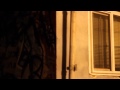 Xavier Wulf- WulfWood (Music Video) 