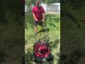 Helping with this overgrown yard. #lawncare#lawnmaintenance#lawn #mowing #landscaping#asmr#viral#fyp