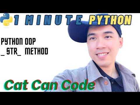 1 Minute Python Oop __ Str__ Method Cat Can Code