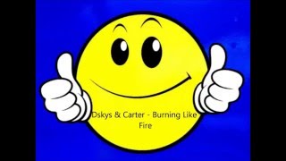 DSkys &amp; Carter - Burning Like Fire