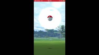 あんまりいない【ポケモンGO】