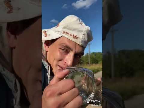 сборник видео 13.dissa