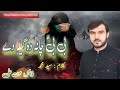 Pashto Noha 2023 Zakir Mehnat Ali Wro Wro Jarhy Muharam2023 1445 Wa Faqira Grama Na Yam Wror