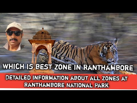 ALL ABOUT RANTHAMBORE | THE BEST ZONES FOR TIGER SIGHTING